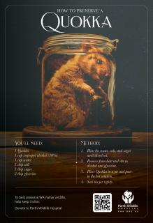 Perth Wildlife Hospital: Preserve Me - Quokka